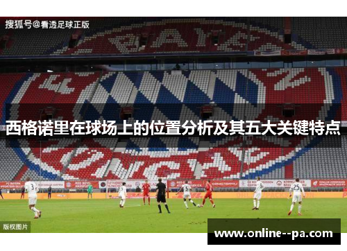 西格诺里在球场上的位置分析及其五大关键特点
