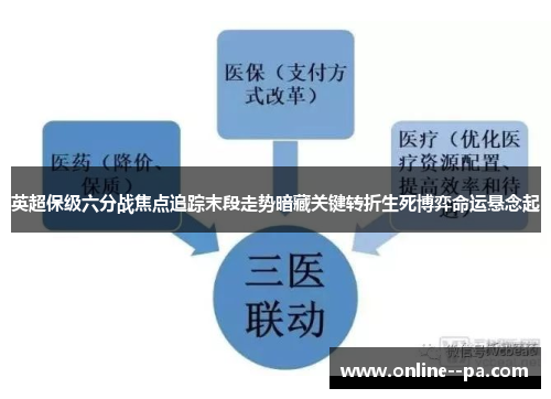 英超保级六分战焦点追踪末段走势暗藏关键转折生死博弈命运悬念起